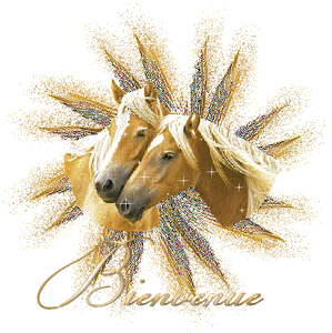 Gif animé bienvenue chevaux